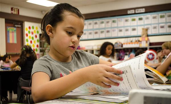 Student looking at a book Student looking at a book